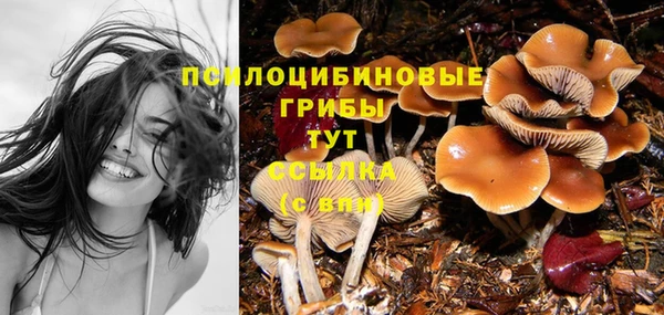 дурь Алексеевка