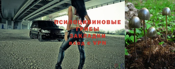спиды Армянск
