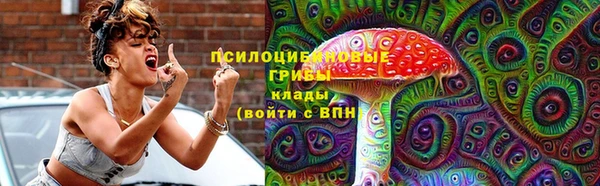 тгк Аркадак