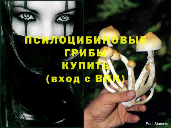 гашиш Арсеньев