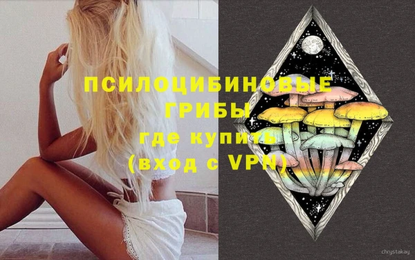 дурь Алексеевка