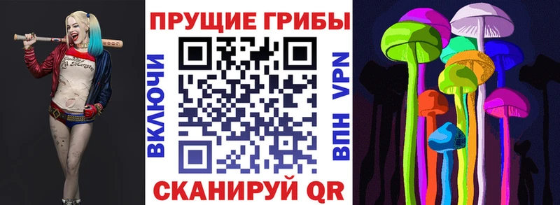 omg вход Белозерск Галлюциногенные грибы Psilocybe